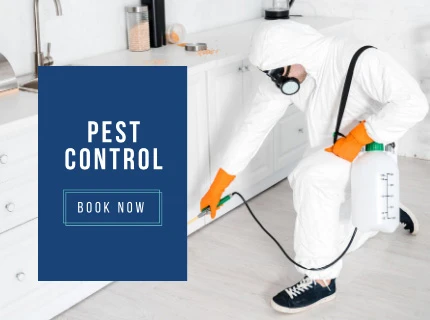 local-pest-control-dubai-Services